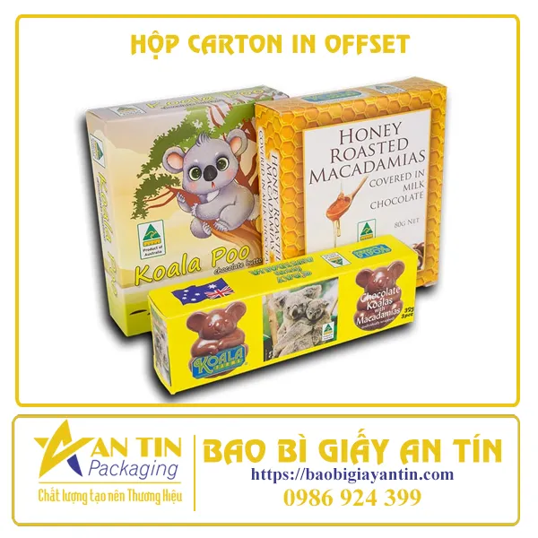 HỘP CARTON IN OFFSET