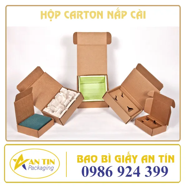 HỘP CARTON NẮP CÀI