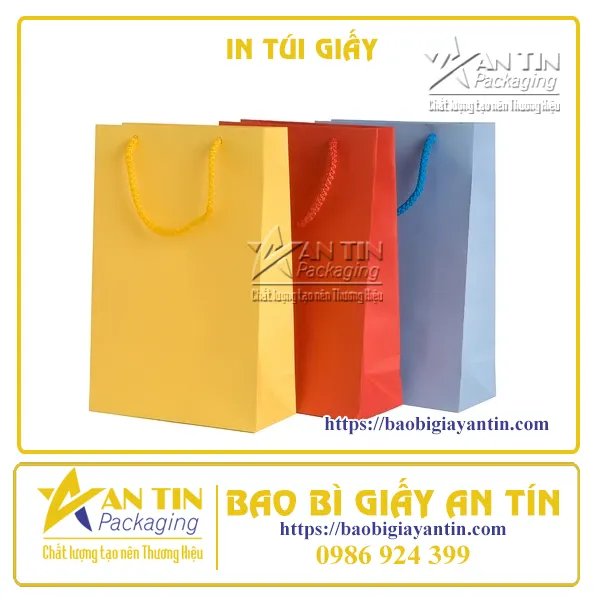 IN TÚI GIẤY NHIỀU MÀU