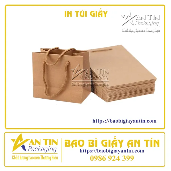 IN TÚI GIẤY