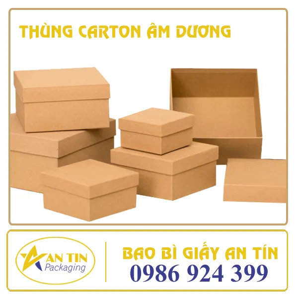 THÙNG CARTON ÂM DƯƠNG