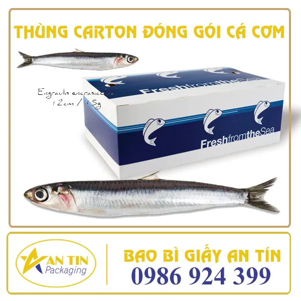 THÙNG CARTON ĐÓNG GÓI CÁ CƠM