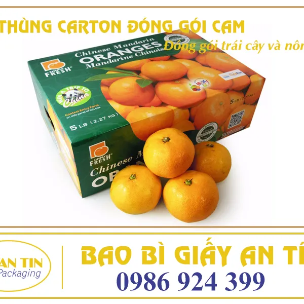 THÙNG CARTON ĐÓNG GÓI CAM