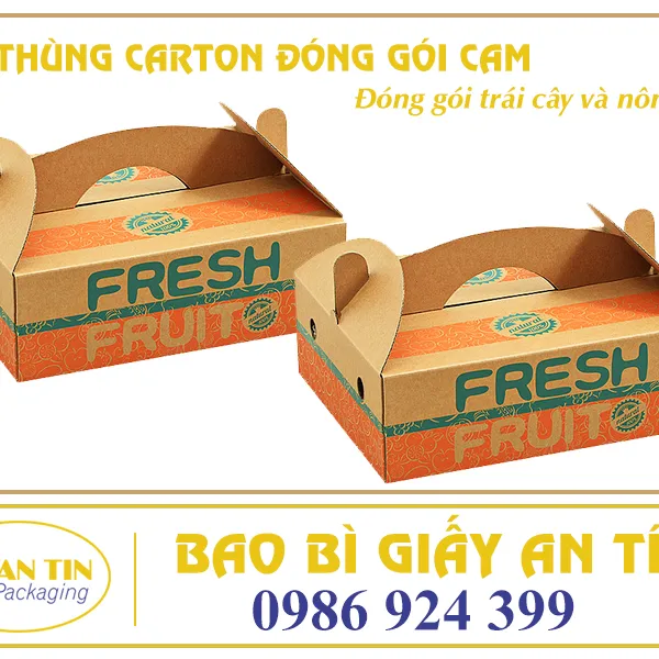 THÙNG CARTON ĐÓNG GÓI CAM