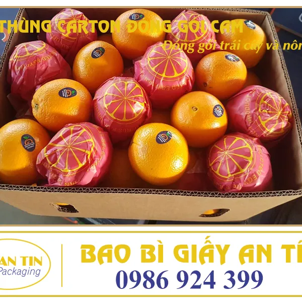 THÙNG CARTON ĐÓNG GÓI CAM