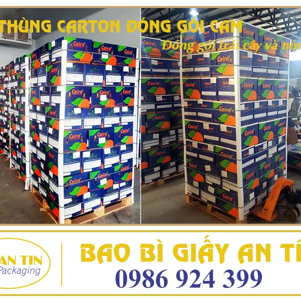 THÙNG CARTON ĐÓNG GÓI CAM