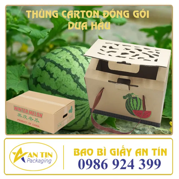 THÙNG CARTON ĐÓNG GÓI DƯA HẤU