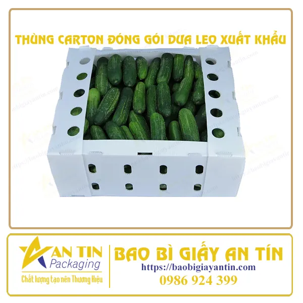 THÙNG CARTON ĐÓNG GÓI DƯA LEO XUẤT KHẨU