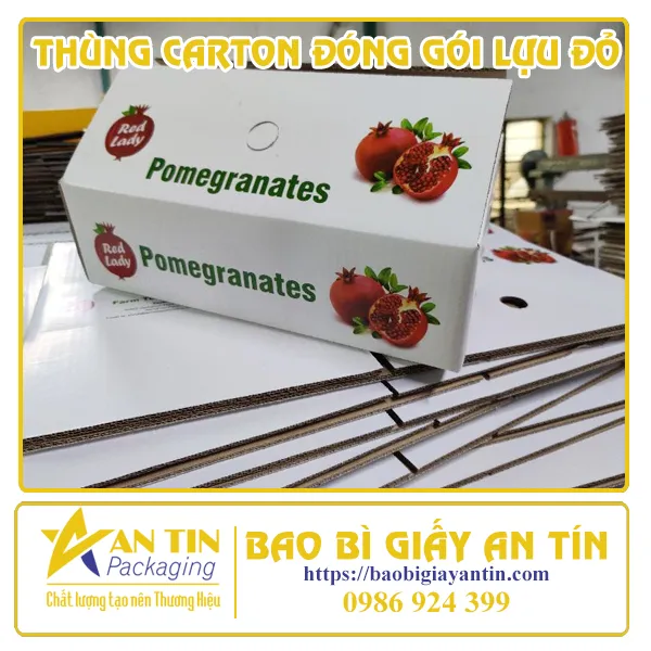 THÙNG CARTON ĐÓNG GÓI LỰU ĐỎ