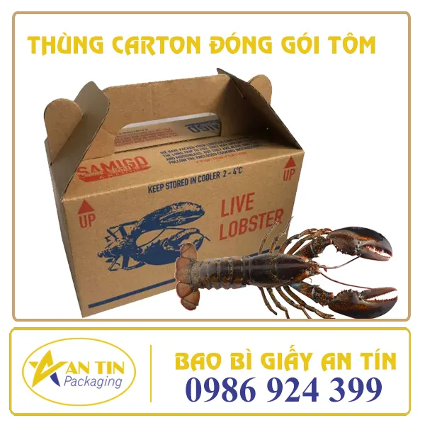 THÙNG CARTON ĐỰNG TÔM