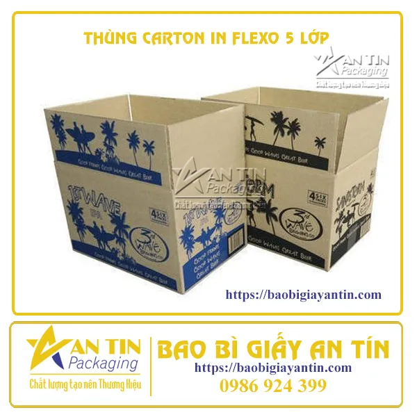 THÙNG CARTON IN FLEXO 5 LỚP