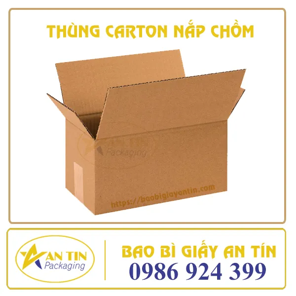 THÙNG CARTON NẮP CHỒM