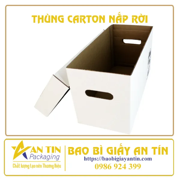 THÙNG CARTON NẮP RỜI