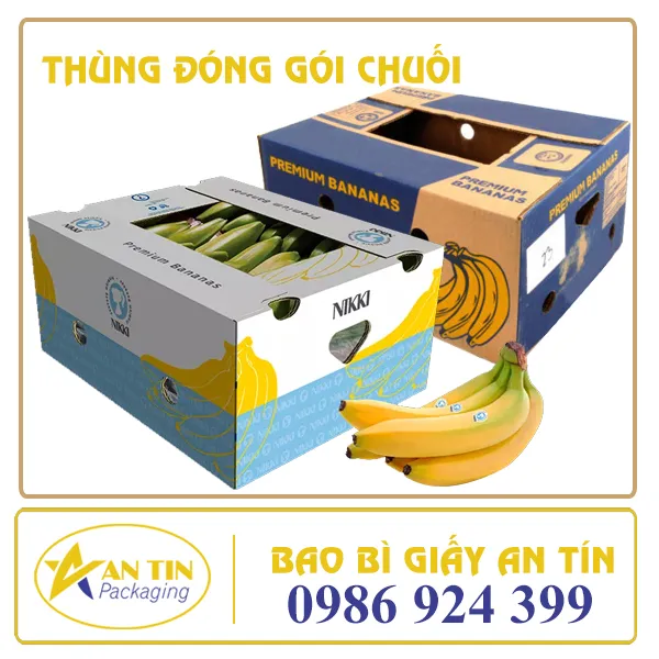 THÙNG ĐÓNG GÓI CHUỐI