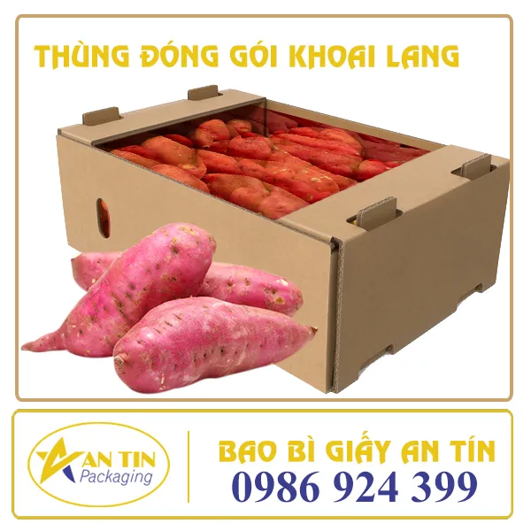 THÙNG ĐÓNG GÓI KHOAI LANG
