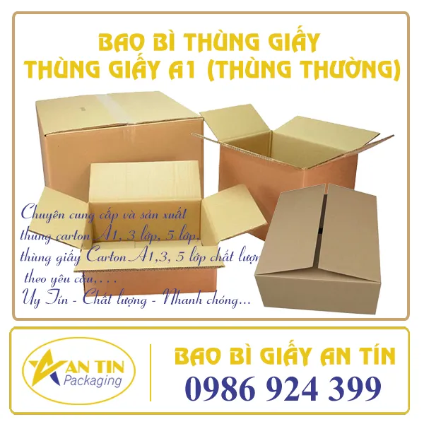 THÙNG CARTON A1