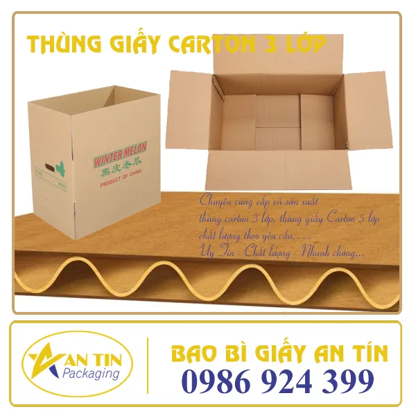 THÙNG GIẤY CARTON 3 LỚP