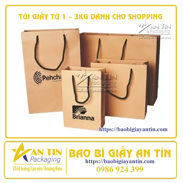 TÚI GIẤY TỪ 1 ĐẾN 3 KG DÀNH CHO SHOPPING