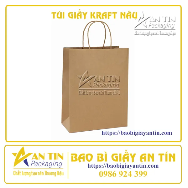 TÚI GIẤY KRAFT NÂU