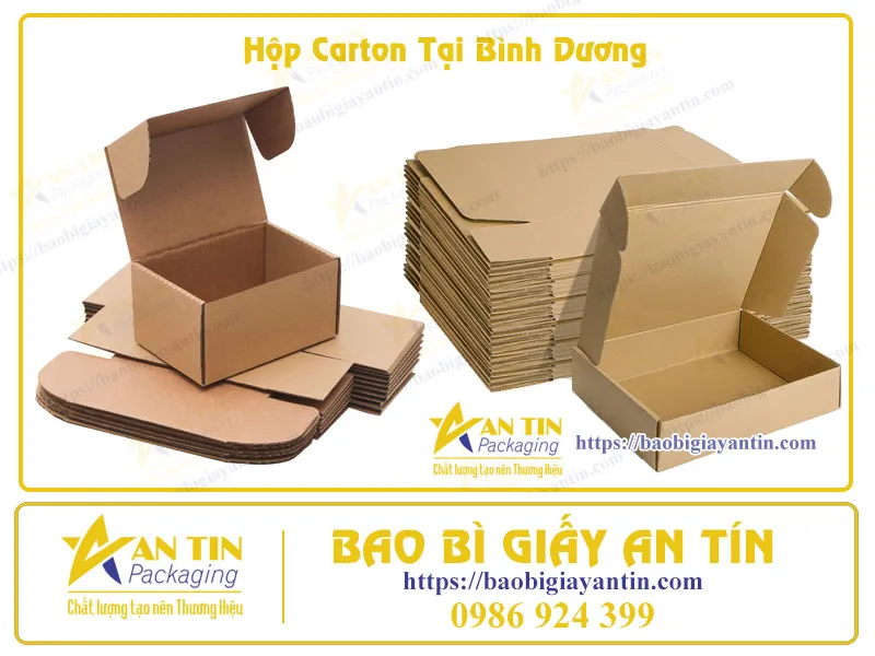 Hộp Carton Tại Bình Dương