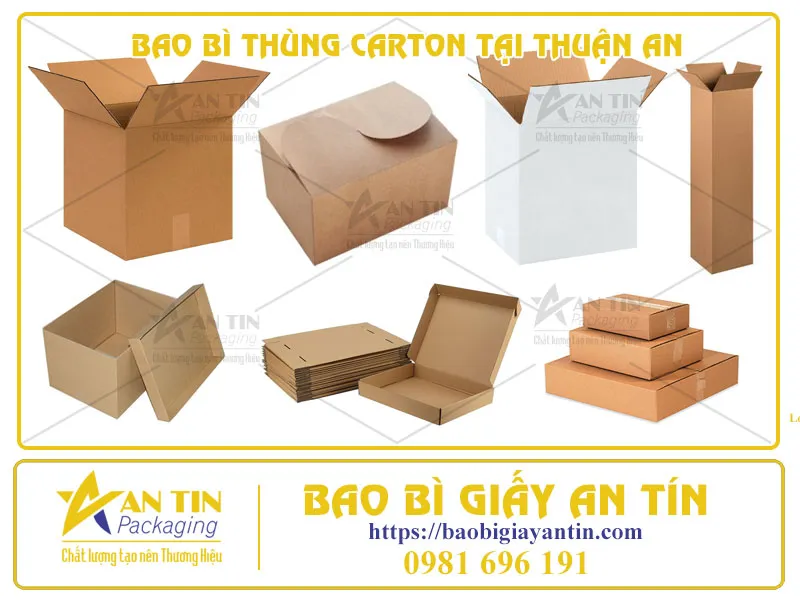 AN TÂM VỚI SỰ CHỌN LỰA HOÀN HẢO - BAO BÌ THÙNG CARTON TẠI THUẬN AN