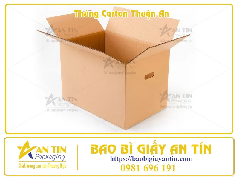 Bạn cần mua thùng carton Thuận An? Đừng bỏ qua những mẹo này để có giá tốt nhất!