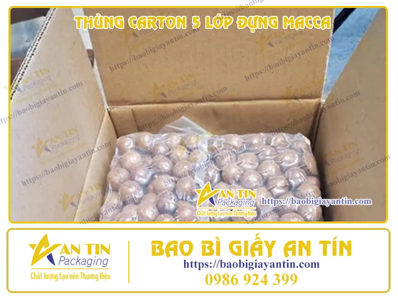BẢO QUẢN TỐI ƯU VỚI THÙNG CARTON 5 LỚP ĐỰNG MACCA CHUYÊN DỤNG