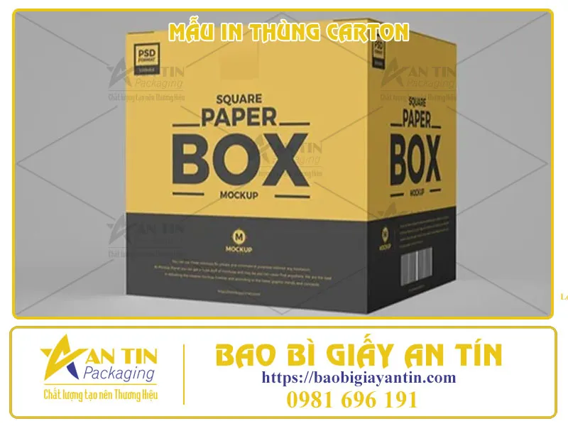 BÍ QUYẾT CHỌN CÁC MẪU IN THÙNG CARTON PHÙ HỢP VỚI ĐẶC TRƯNG DOANH NGHIỆP CỦA BẠN