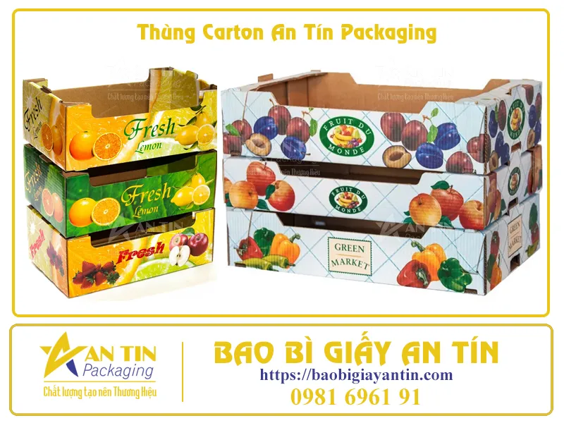 Bí Quyết Đóng Gói Trái Cây Trong Thùng Carton Để Giữ Nguyên Hương Vị Tươi Ngon