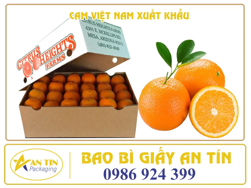 CAM VIỆT NAM XUẤT KHẨU CƠ HỘI VÀ THÁCH THỨC