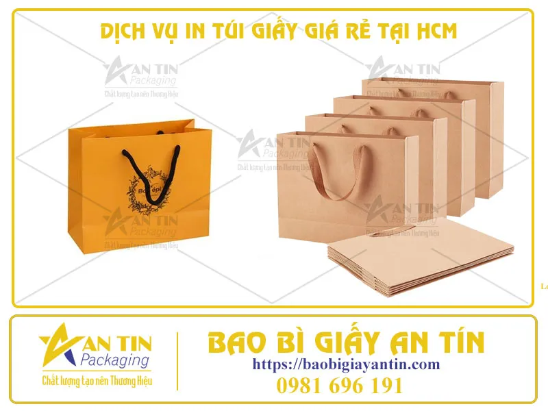 CHẤT LƯỢNG VÀ TIẾT KIỆM CÙNG DỊCH VỤ IN TÚI GIẤY GIÁ RẺ TẠI HCM
