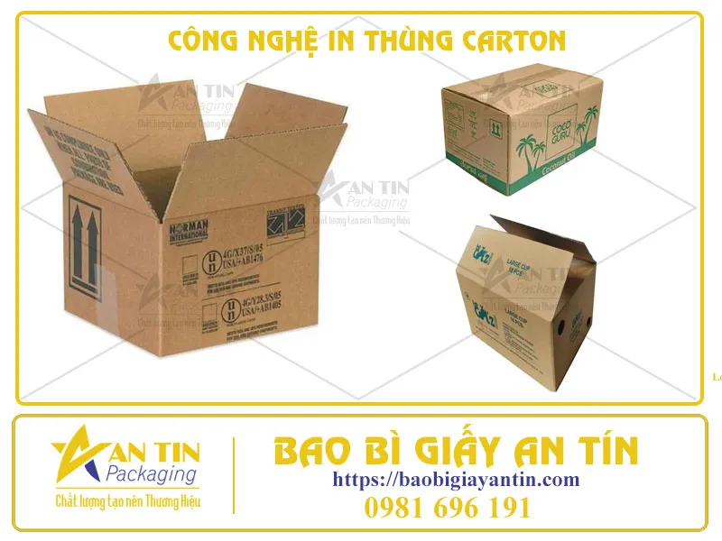 CÔNG NGHỆ IN THÙNG CARTON TIÊN TIẾN NHẤT 2024 - BẠN ĐÃ BIẾT CHƯA