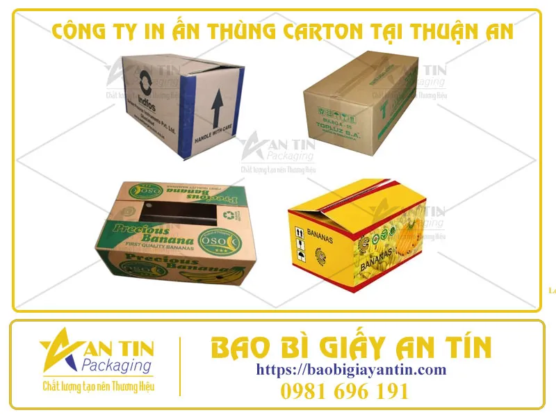 CÔNG TY IN ẤN THÙNG CARTON TẠI THUẬN AN - CÔNG NGHỆ FLEXO VÀ OFFSET CHẤT LƯỢNG CAO
