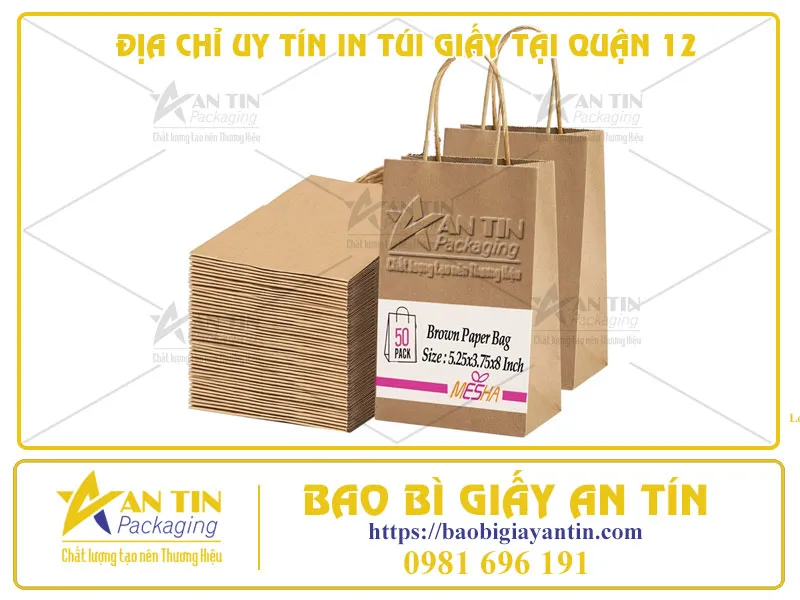 ĐỊA CHỈ UY TÍN IN TÚI GIẤY TẠI QUẬN 12 - SẢN PHẨM CHẤT LƯỢNG VỚI GIÁ XƯỞNG