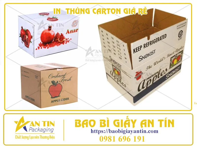 Dịch Vụ In Thùng Carton Giá Rẻ HCM  Sự Lựa Chọn Tối Ưu Cho Doanh Nghiệp