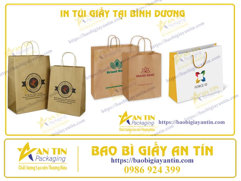 ĐỘC ĐÁO VÀ SÁNG TẠO - IN TÚI GIẤY THEO PHONG CÁCH BÌNH DƯƠNG