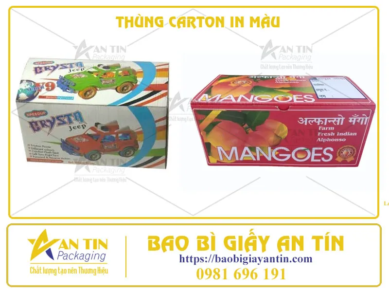 Đột Phá Hình Ảnh Thương Hiệu, Tạo Nét Riêng Với Thùng Carton In Màu