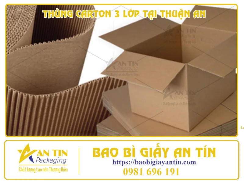 GIẢI PHÁP ĐÓNG GÓI AN TOÀN VỚI THÙNG CARTON 3 LỚP TẠI THUẬN AN