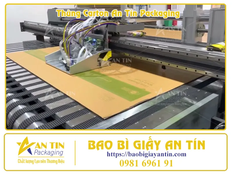 Giải Pháp In Ấn Thùng Carton Tiết Kiệm Chi Phí, Tối Ưu Chất Lượng