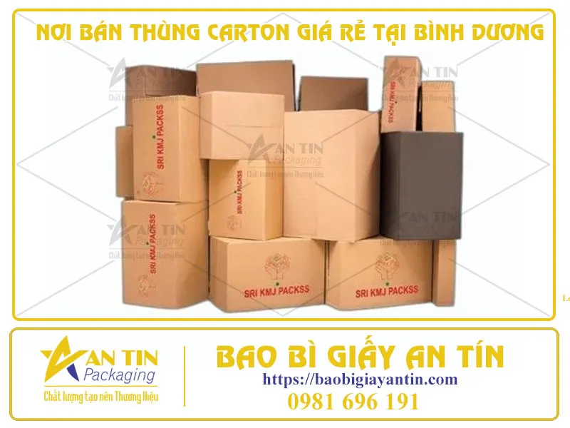 HƯỚNG DẪN TÌM NƠI BÁN THÙNG CARTON GIÁ RẺ TẠI BÌNH DƯƠNG