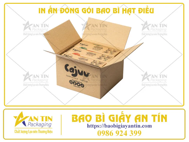IN ẤN ĐÓNG GÓI BAO BÌ HẠT ĐIỀU - TỐI ƯU CHI PHÍ, NÂNG CAO GIÁ TRỊ THƯƠNG HIỆU