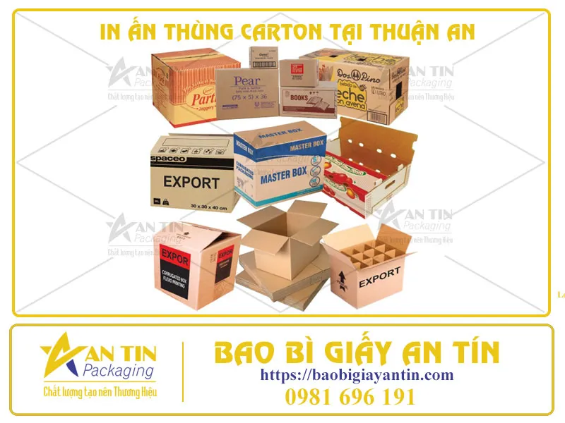 IN ẤN THÙNG CARTON - CHIẾN DỊCH MARKETING THÔNG MINH CHO DOANH NGHIỆP HIỆN ĐẠI TẠI THUẬN AN