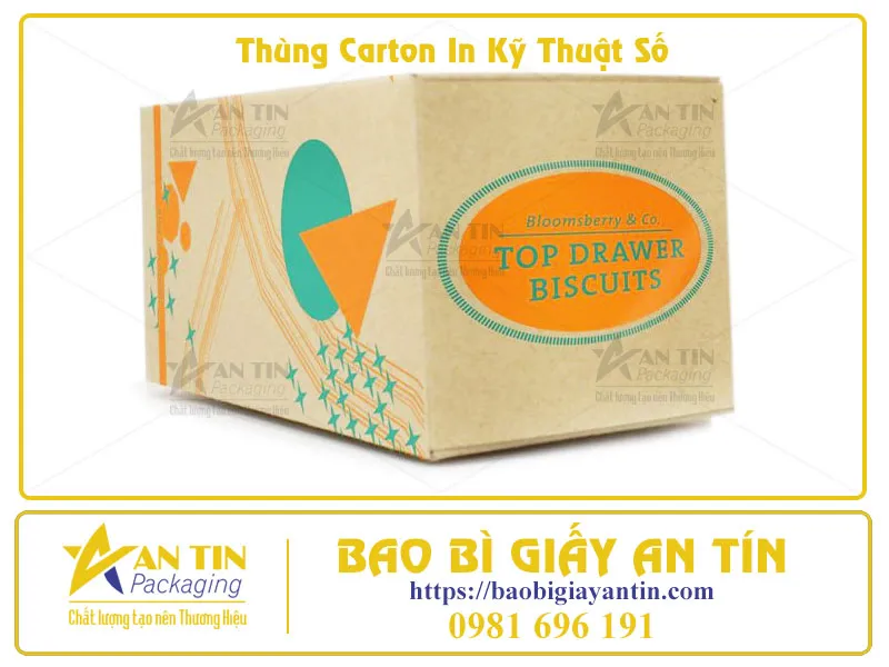 In Kỹ Thuật Số Thùng Carton Bước Đột Phá Cho Bao Bì Thời Đại Mới Cùng An Tín