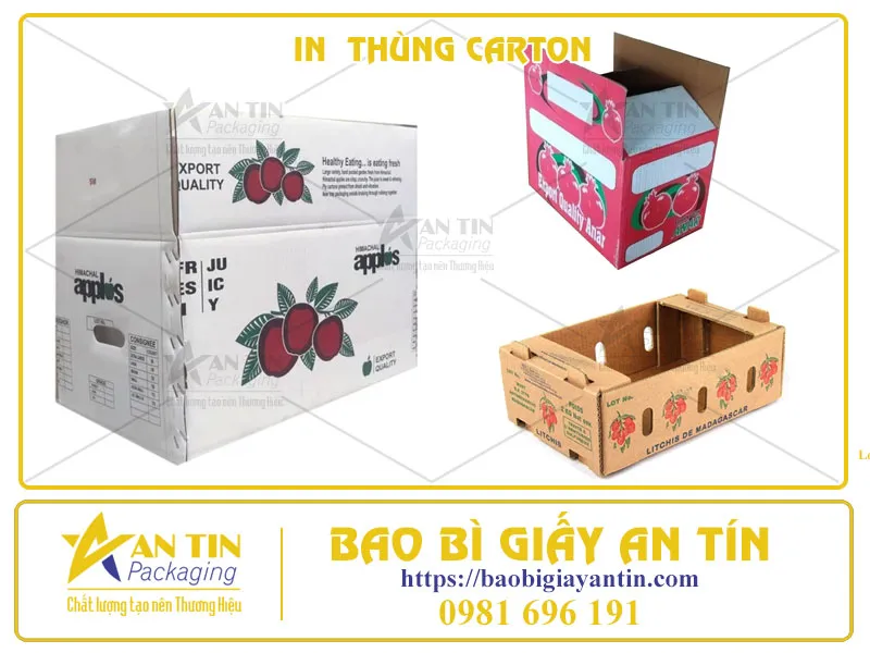 In Thùng Carton Bình Dương Giải Pháp Tối Ưu Cho Doanh Nghiệp
