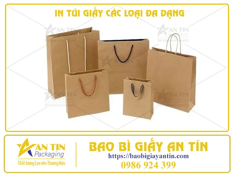 IN TÚI GIẤY CÁC LOẠI ĐA DẠNG - MỞ RA THẾ GIỚI KHÔNG GIỚI HẠN CHO Ý TƯỞNG CỦA BẠN
