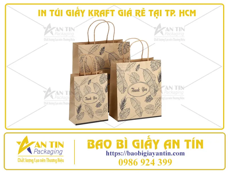 IN TÚI GIẤY KRAFT GIÁ RẺ NHƯNG KHÔNG KÉM PHẦN CHẤT LƯỢNG TẠI HCM