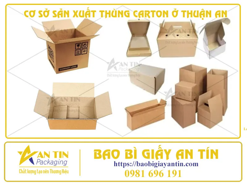 KHÁM PHÁ TẬN NƠI CƠ SỞ SẢN XUẤT THÙNG CARTON Ở THUẬN AN