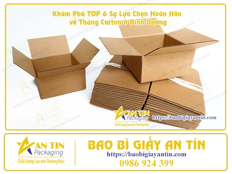 Khám Phá TOP 6 Sự Lựa Chọn Hoàn Hảo về Thùng Carton ở Bình Dương