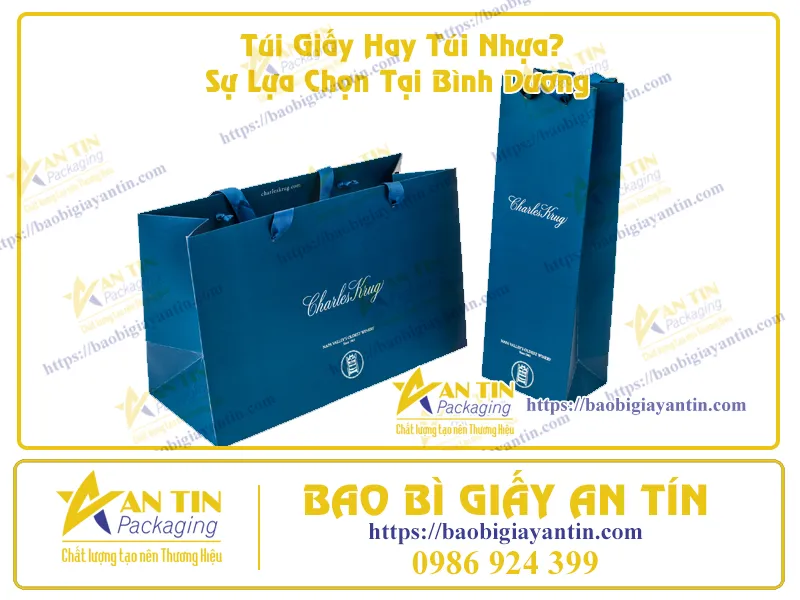 Túi Giấy Hay Túi Nhựa? Sự Lựa Chọn Tại Bình Dương
