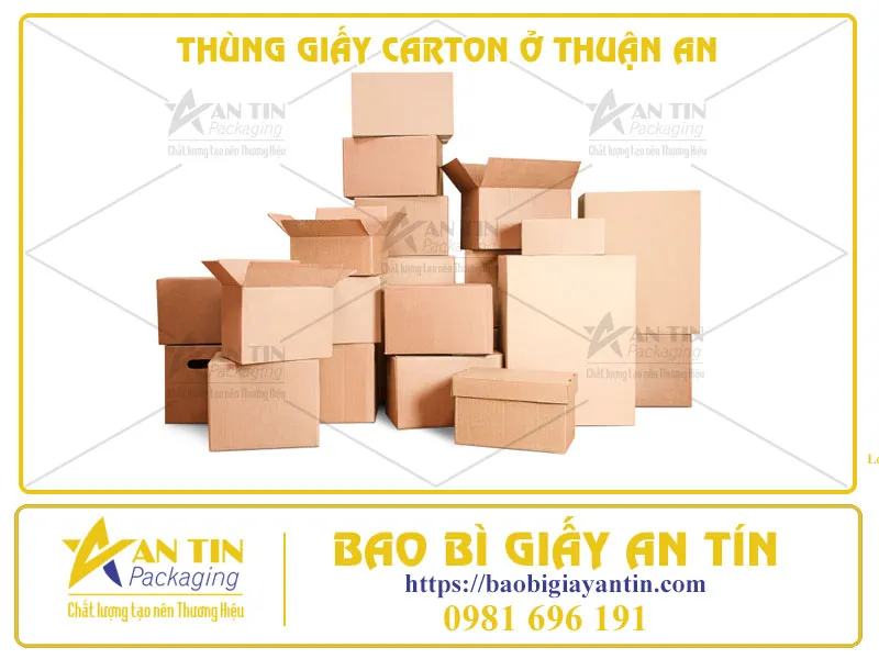 PHÂN LOẠI THÙNG GIẤY CARTON Ở THUẬN AN THEO SỐ LỚP ỨNG VỚI NHU CẦU SỬ DỤNG